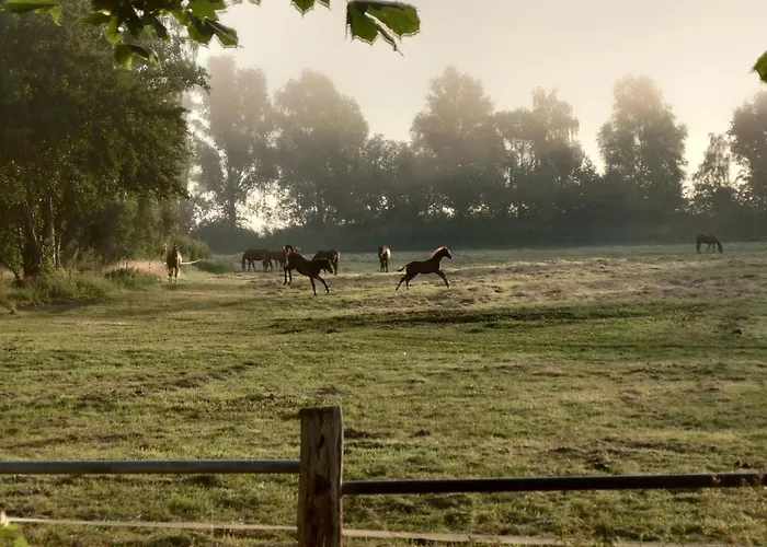 Kleenes Haffhus